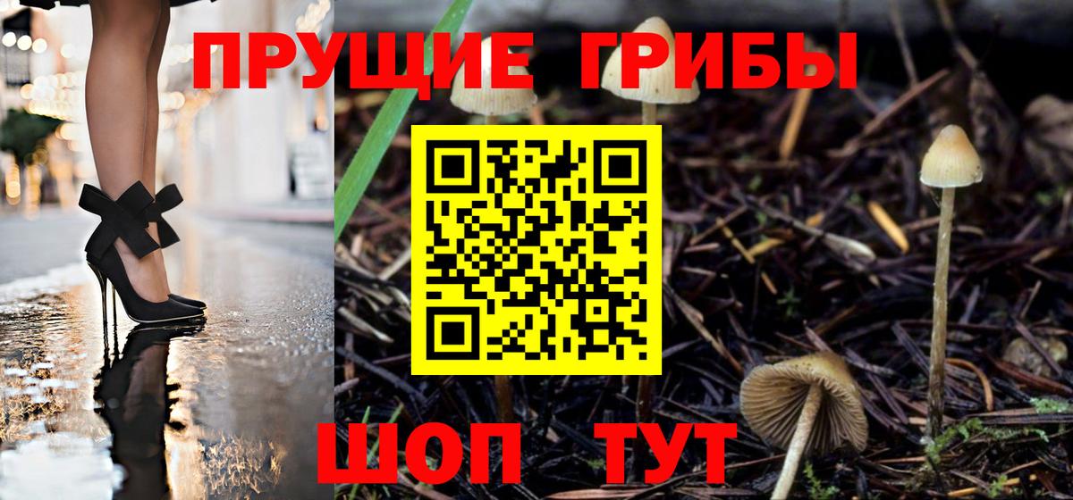 Галлюциногенные грибы мицелий  Вход с VPN  Югорск 